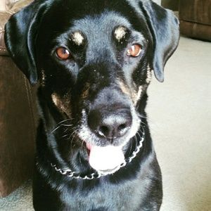 Meet your Posher, Heather