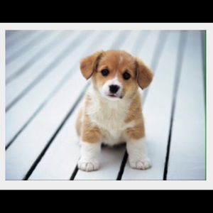 Meet your Posher, Cara