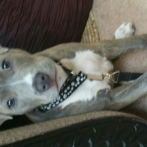 Meet your Posher, Vashon