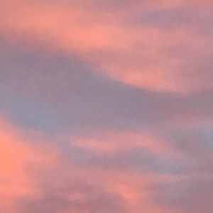 Meet your Posher, Jade