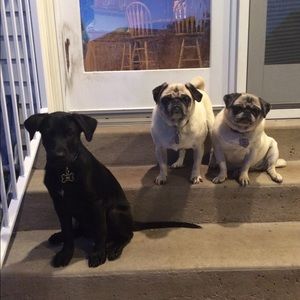 Meet your Posher, Jeanne