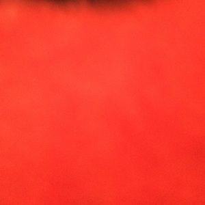 Meet your Posher, Cheyenne