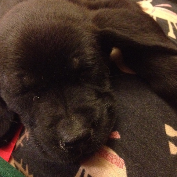 Meet your Posher, Victoria