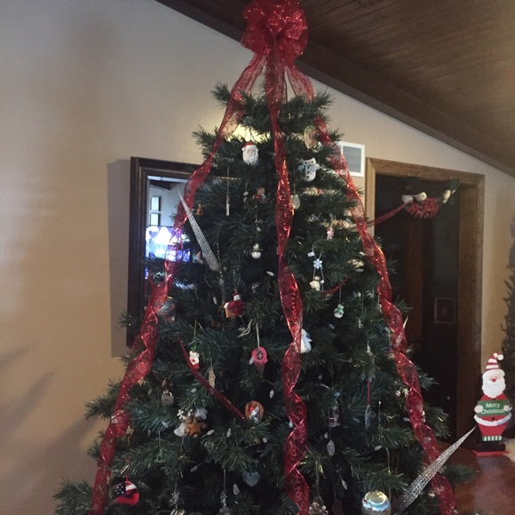 Meet your Posher, Carley - Picture 1 of 1