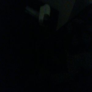 Meet your Posher, Sammy