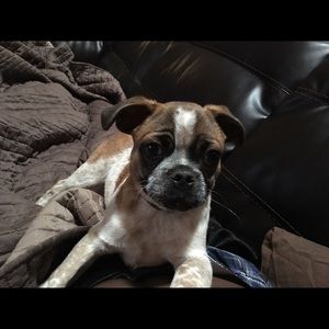 Meet your Posher, Kasadee