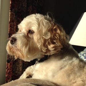 Meet your Posher, Janice