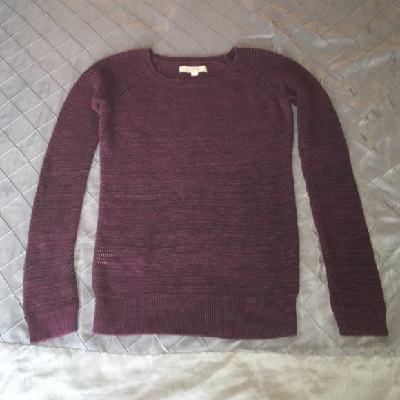 Ann Taylor LOFT Knit Sweater