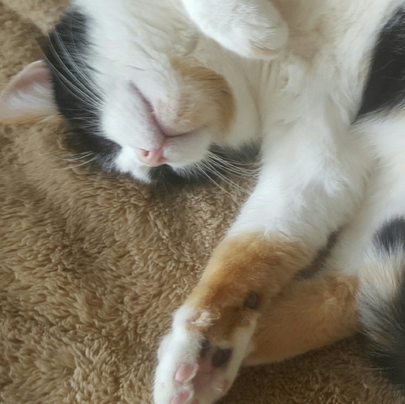 Meet your Posher, Emily