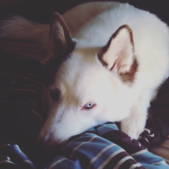 Meet your Posher, Ashleigh - Picture 3 of 4