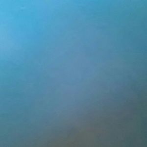 Meet your Posher, Laurie