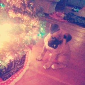 Meet your Posher, Nicole