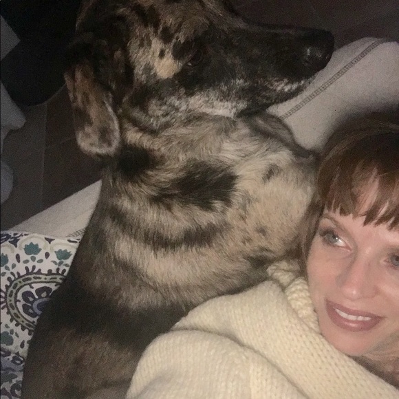 Meet your Posher, Victoria - Picture 4 of 8