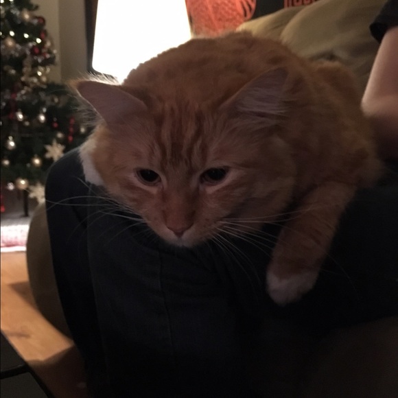 Meet your Posher, Taylor - Picture 1 of 1