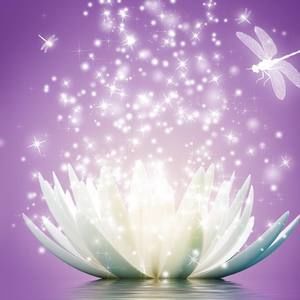 Meet your Posher, Bich