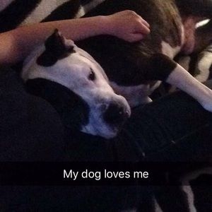 Meet your Posher, Jamie