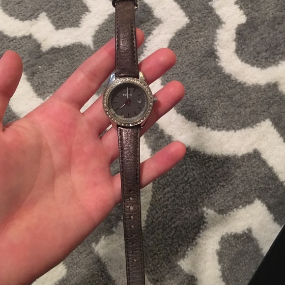 Fossil Watch!
