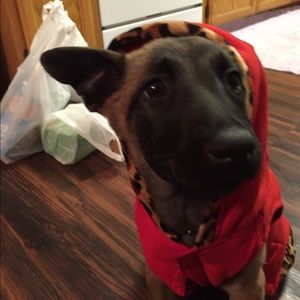 Meet your Posher, Tabetha