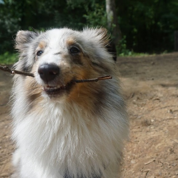 Meet your Posher, Jeri