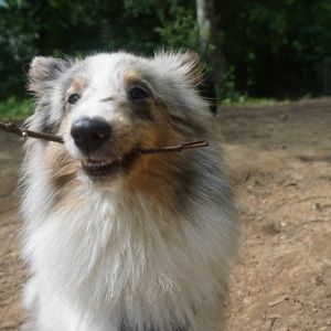 Meet your Posher, Jeri