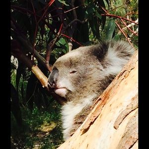 Meet your Posher, Meggan