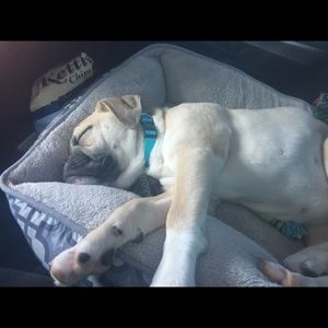 Meet your Posher, Kassie