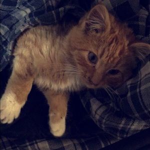 Meet your Posher, Jen