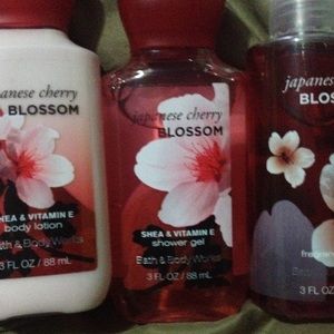 Bath and body works set
