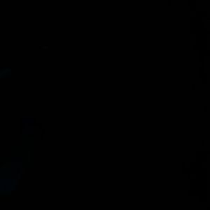 Meet your Posher, Leonard