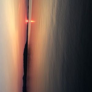 Meet your Posher, Bree