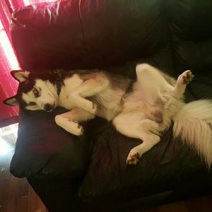 Meet your Posher, Jay