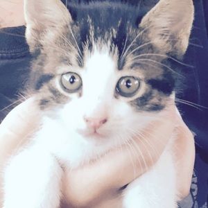 Meet your Posher, Madi