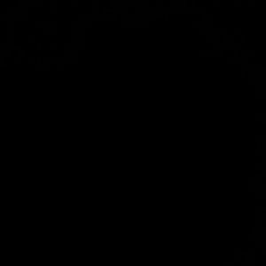 Meet your Posher, Riley