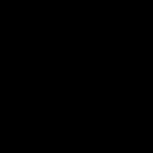 Meet your Posher, Whitney