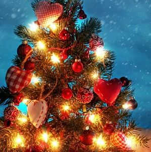 Meet your Posher, Sammy