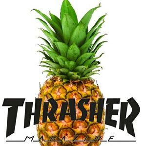 Meet your Posher, Dylan