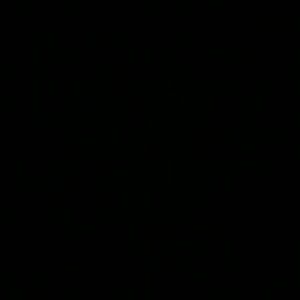 Meet your Posher, Jamin