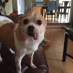 Meet your Posher, Jenna