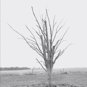 Meet your Posher, Troy