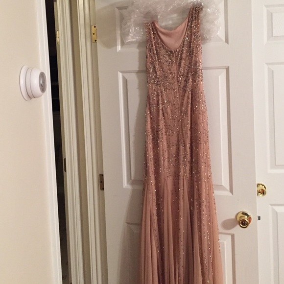 Adrianna Papell gown - Picture 2 of 4