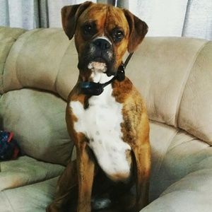 Meet your Posher, Brett