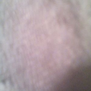 Meet your Posher, Silentree