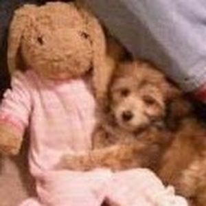 Meet your Posher, Jean