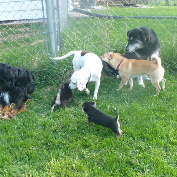 Meet your Posher, Lori - Picture 1 of 1