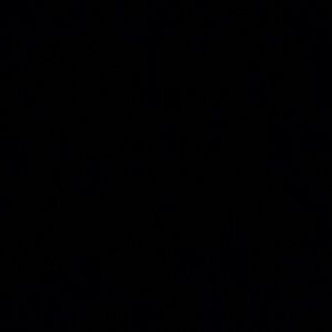 Meet your Posher, Samara