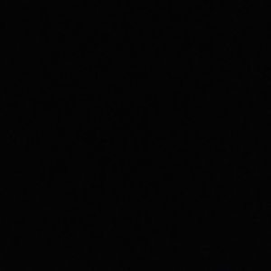 Meet your Posher, Gracie