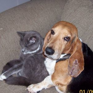 Meet your Posher, Rosanna