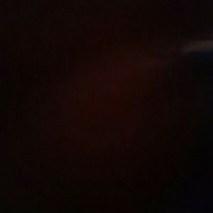 Meet your Posher, Benjamin