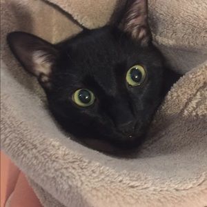 Meet your Posher, Nicholas