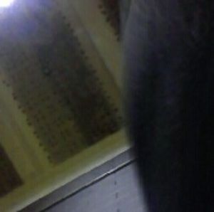 Meet your Posher, Berneda